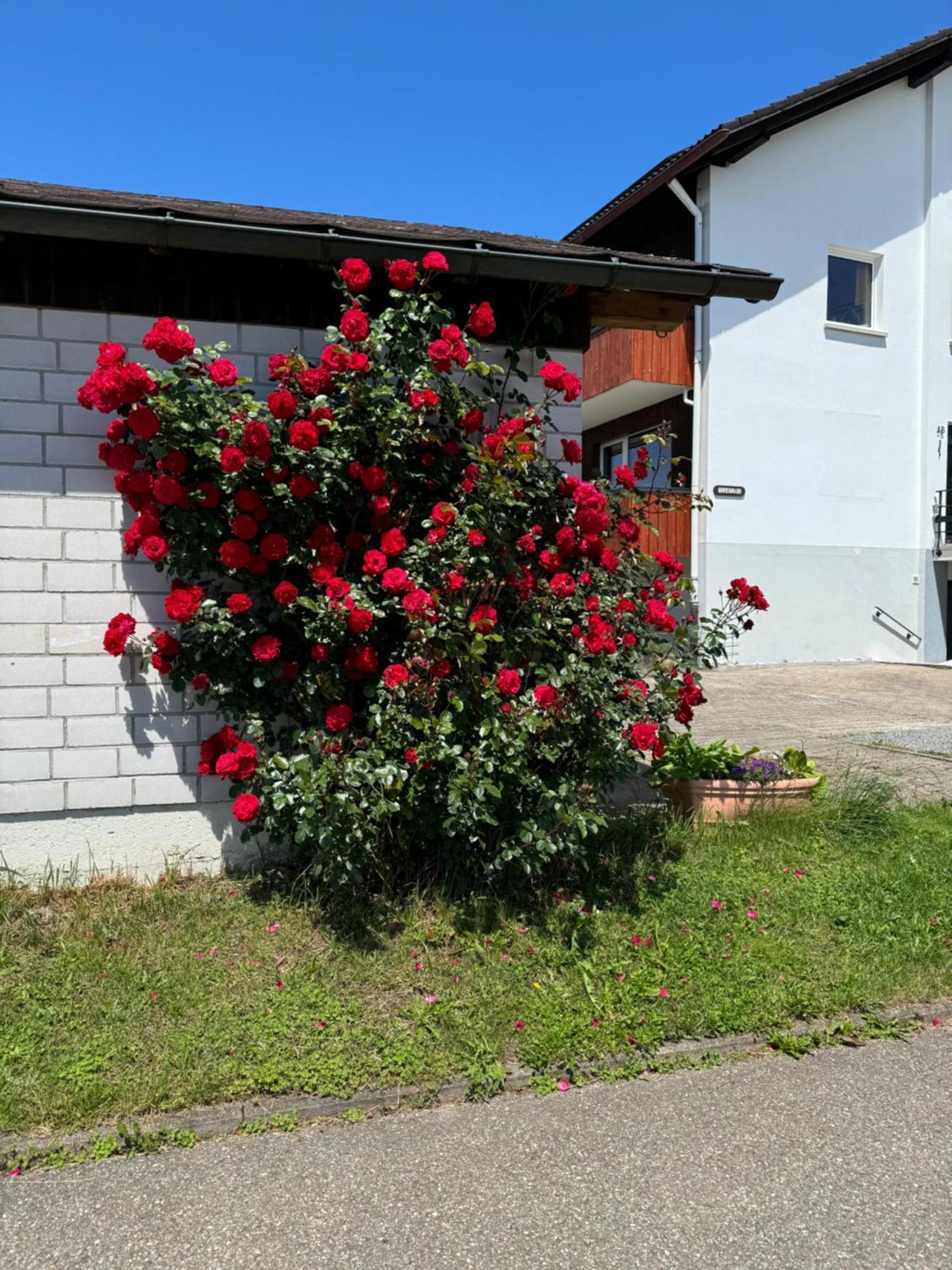 Haus Waldeck Apartment Uehlingen-Birkendorf Exterior photo